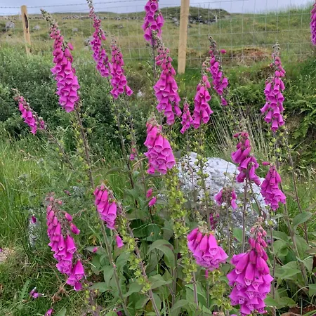 House In The Heart Of The Village בית נופש *